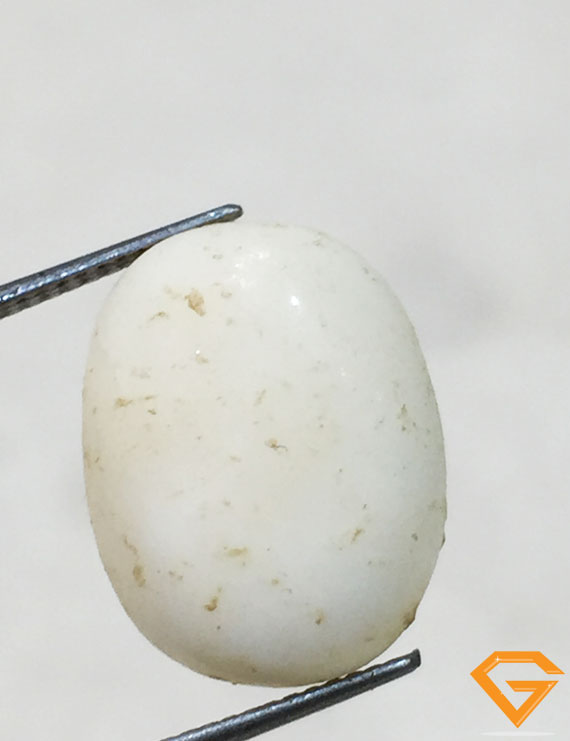 7 ratti/6.31 ct Natural Certified  White Coral/सफ़ेद मूंगा